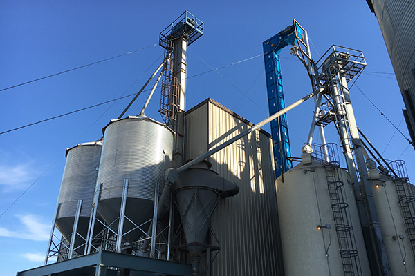 neco seed project